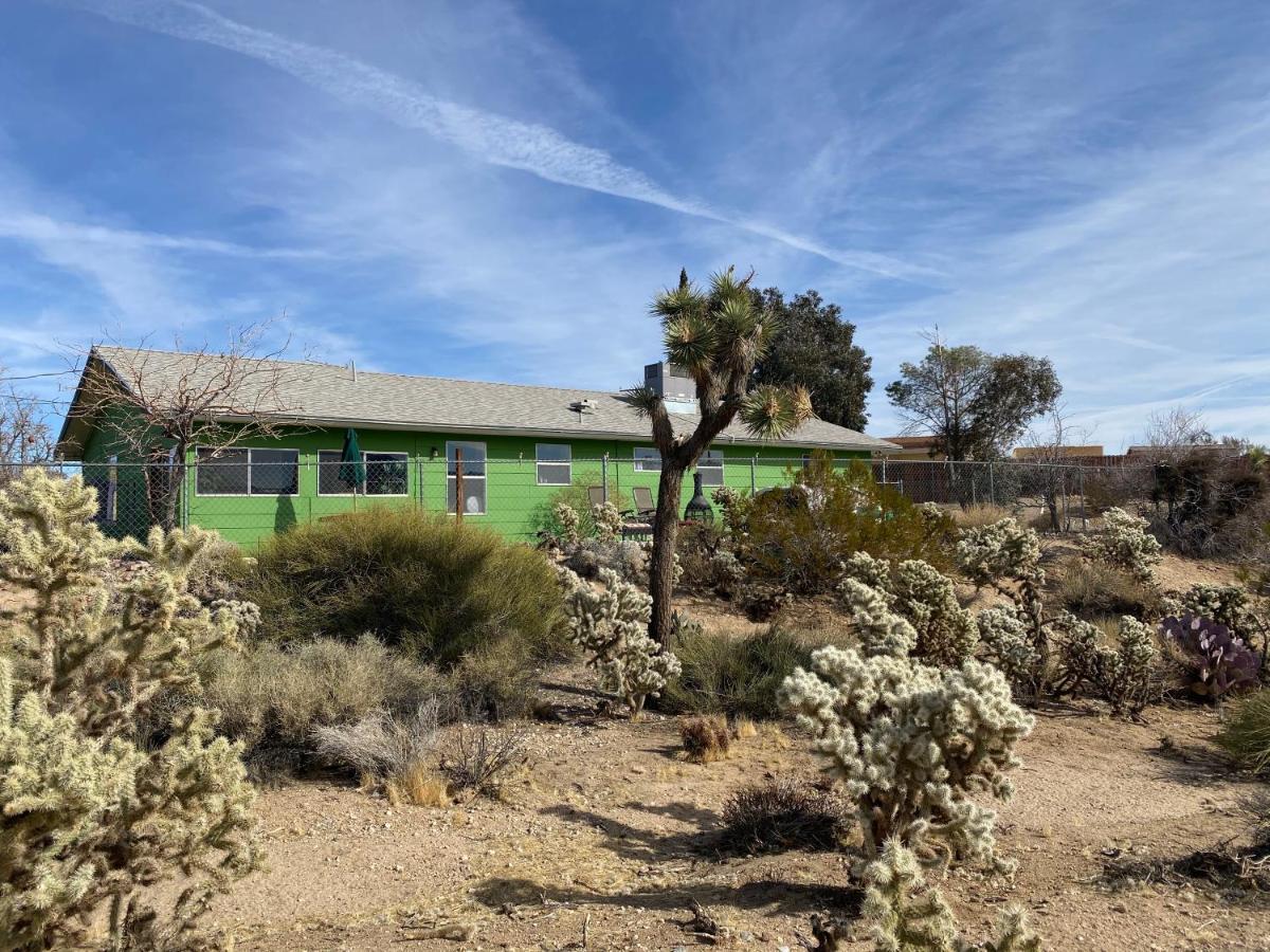 Desert Oasis - Joshua Tree Peaceful Retreat Home Yucca Valley Eksteriør bilde